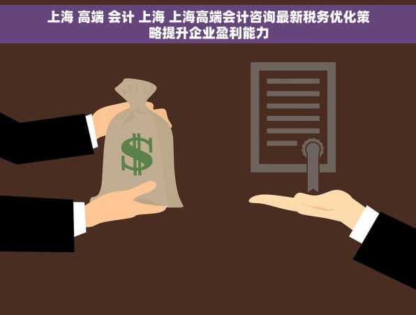 上海 高端 会计 上海 上海高端会计咨询最新税务优化策略提升企业盈利能力