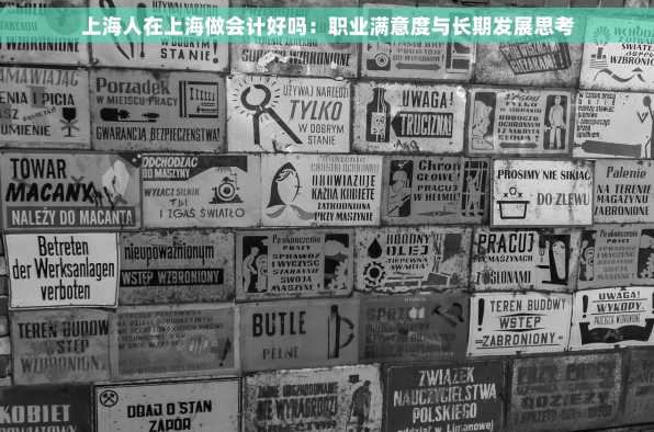 上海人在上海做会计好吗：职业满意度与长期发展思考