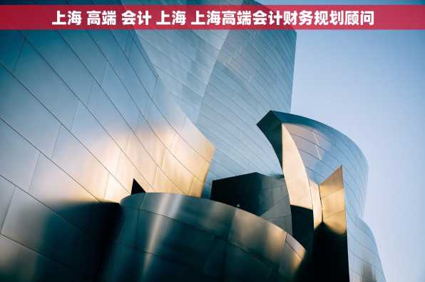 上海 高端 会计 上海 上海高端会计财务规划顾问