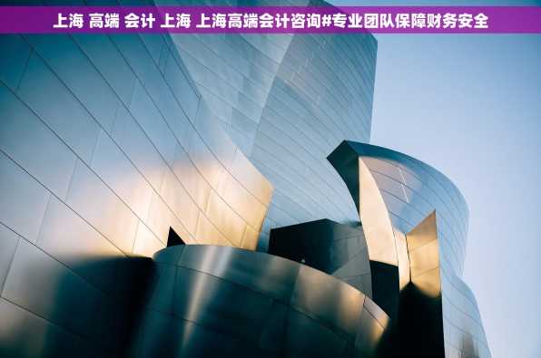 上海 高端 会计 上海 上海高端会计咨询#专业团队保障财务安全