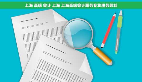 上海 高端 会计 上海 上海高端会计服务专业税务筹划