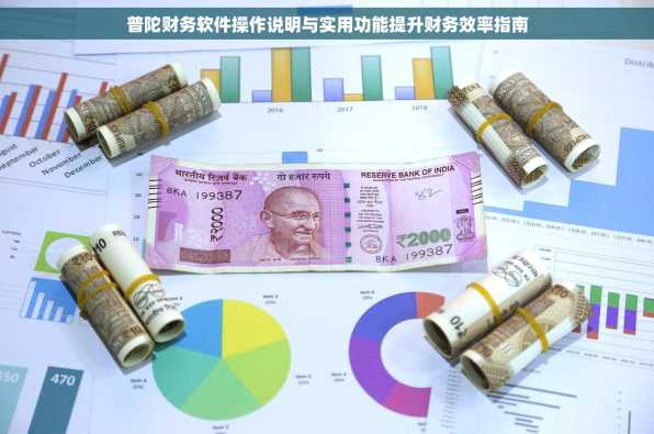 普陀财务软件操作说明与实用功能提升财务效率指南