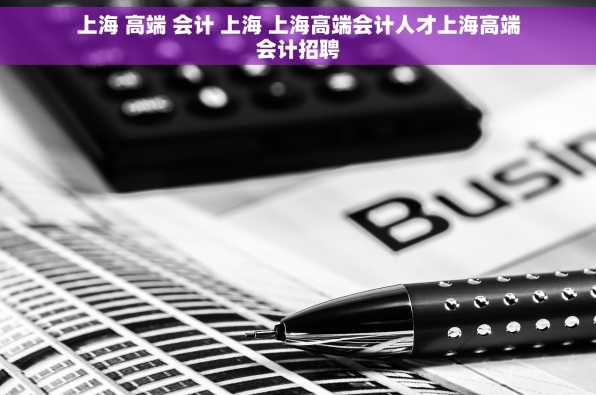 上海 高端 会计 上海 上海高端会计人才上海高端会计招聘