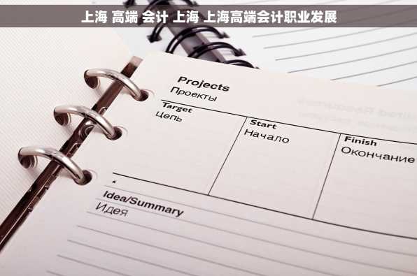 上海 高端 会计 上海 上海高端会计职业发展
