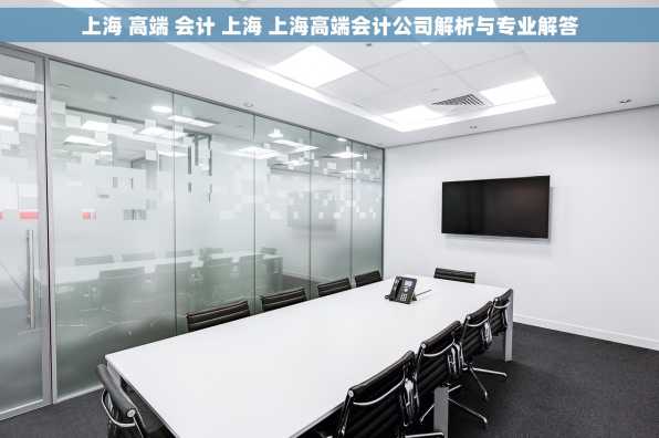 上海 高端 会计 上海 上海高端会计公司解析与专业解答