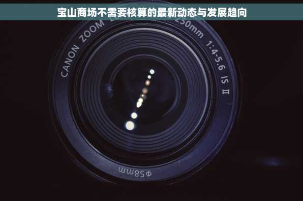 宝山商场不需要核算的最新动态与发展趋向