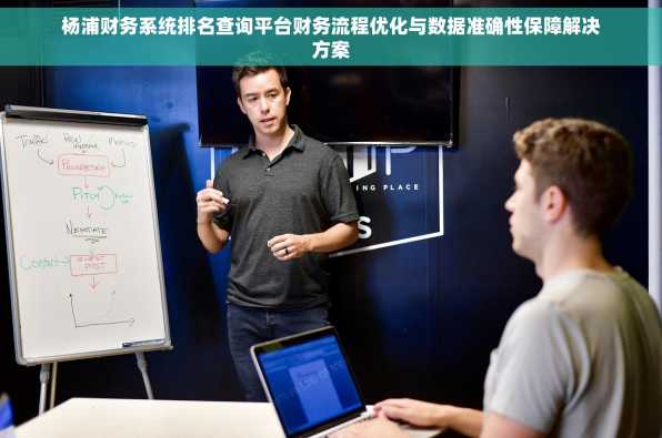 杨浦财务系统排名查询平台财务流程优化与数据准确性保障解决方案