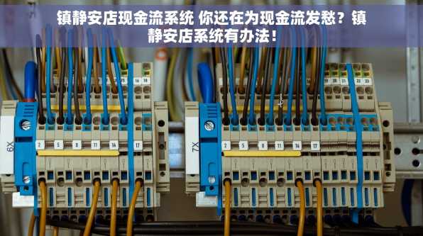 镇静安店现金流系统 你还在为现金流发愁？镇静安店系统有办法！