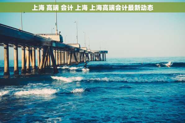 上海 高端 会计 上海 上海高端会计最新动态