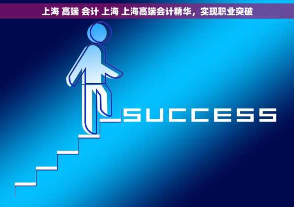 上海 高端 会计 上海 上海高端会计精华，实现职业突破