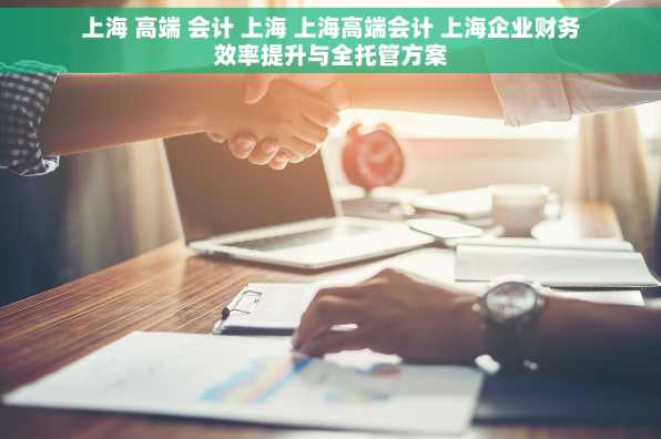 上海 高端 会计 上海 上海高端会计 上海企业财务效率提升与全托管方案