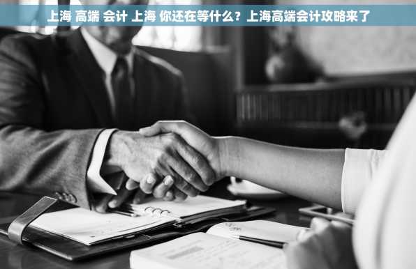 上海 高端 会计 上海 你还在等什么？上海高端会计攻略来了