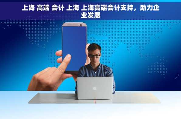 上海 高端 会计 上海 上海高端会计支持，助力企业发展