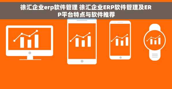 徐汇企业erp软件管理 徐汇企业ERP软件管理及ERP平台特点与软件推荐