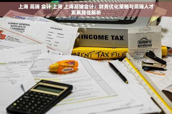 上海 高端 会计 上海 上海高端会计：财务优化策略与高端人才发展路径解析