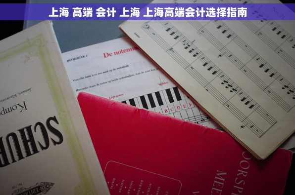 上海 高端 会计 上海 上海高端会计选择指南