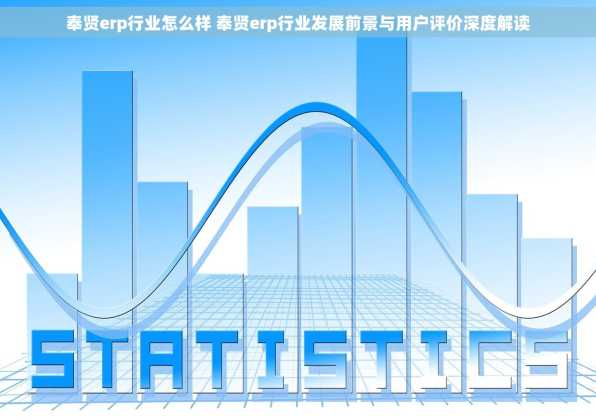 奉贤erp行业怎么样 奉贤erp行业发展前景与用户评价深度解读
