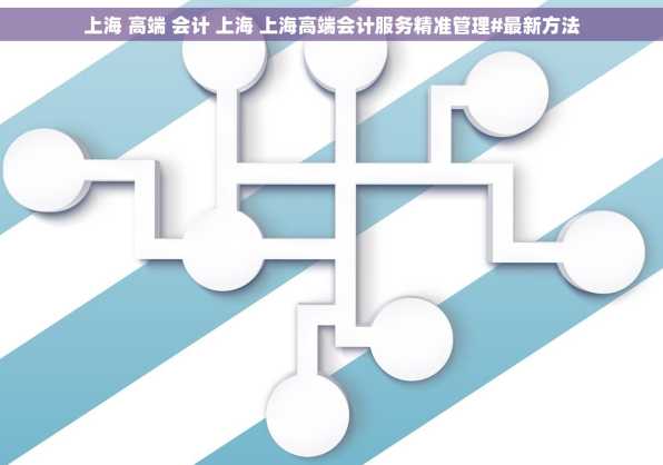 上海 高端 会计 上海 上海高端会计服务精准管理#最新方法