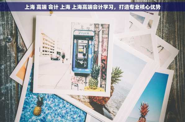 上海 高端 会计 上海 上海高端会计学习，打造专业核心优势