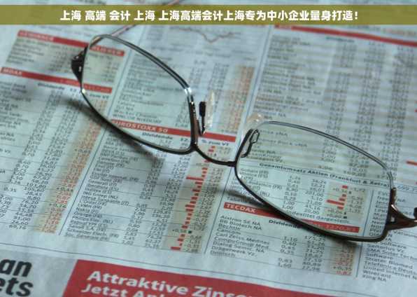 上海 高端 会计 上海 上海高端会计上海专为中小企业量身打造！