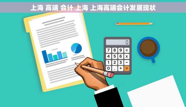 上海 高端 会计 上海 上海高端会计发展现状