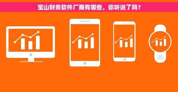 宝山财务软件厂商有哪些，你听说了吗？