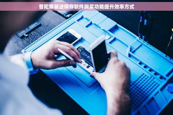 普陀服装进销存软件购买功能提升效率方式