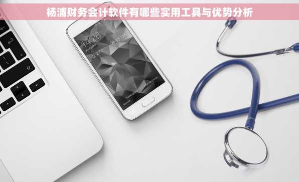 杨浦财务会计软件有哪些实用工具与优势分析