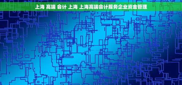 上海 高端 会计 上海 上海高端会计服务企业资金管理
