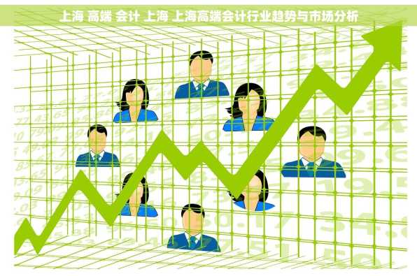 上海 高端 会计 上海 上海高端会计行业趋势与市场分析
