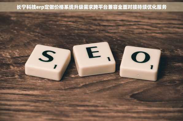 长宁科技erp定做价格系统升级需求跨平台兼容全面对接持续优化服务