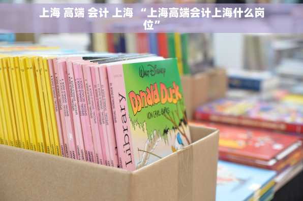 上海 高端 会计 上海 “上海高端会计上海什么岗位”