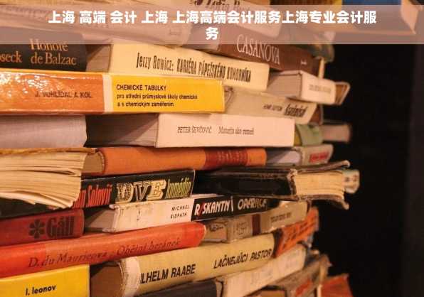 上海 高端 会计 上海 上海高端会计服务上海专业会计服务