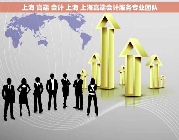 上海 高端 会计 上海 上海高端会计服务专业团队