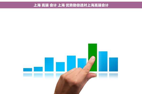 上海 高端 会计 上海 优势助你选对上海高端会计