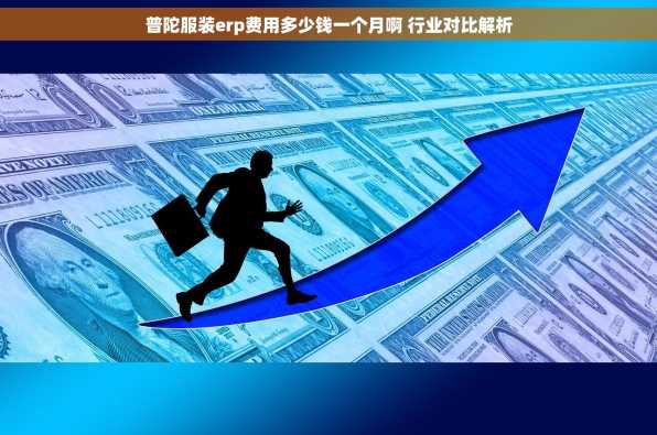 普陀服装erp费用多少钱一个月啊 行业对比解析