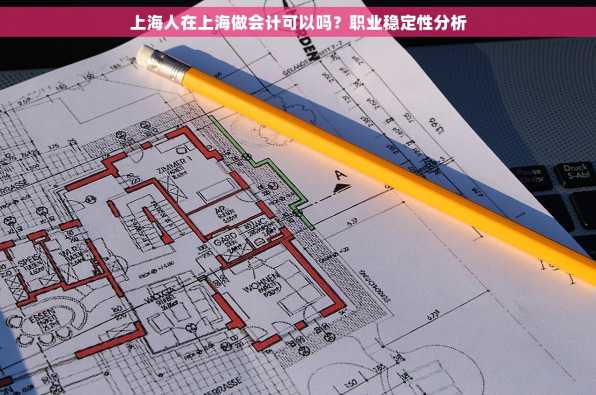 上海人在上海做会计可以吗？职业稳定性分析