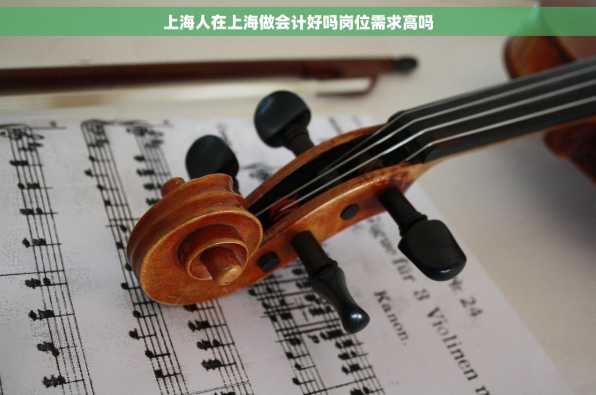 上海人在上海做会计好吗岗位需求高吗