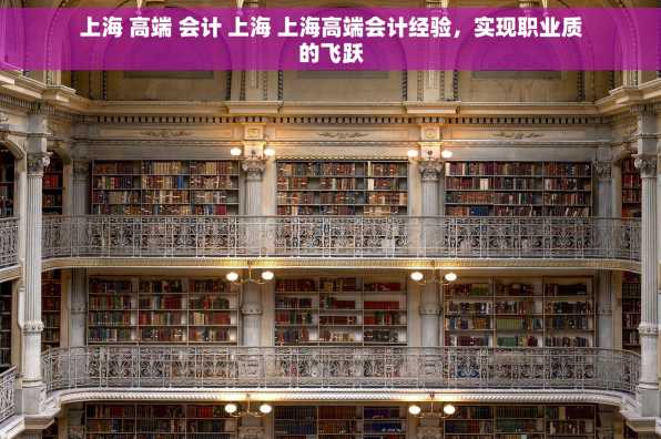 上海 高端 会计 上海 上海高端会计经验，实现职业质的飞跃