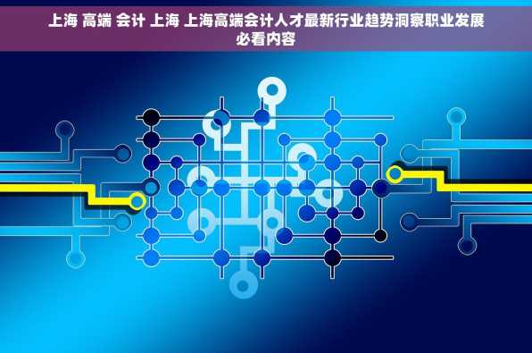 上海 高端 会计 上海 上海高端会计人才最新行业趋势洞察职业发展必看内容
