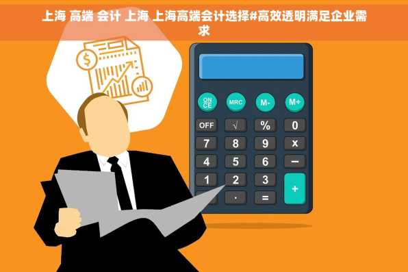 上海 高端 会计 上海 上海高端会计选择#高效透明满足企业需求