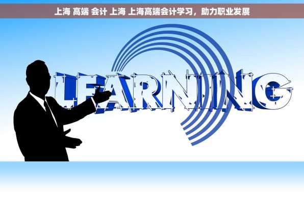 上海 高端 会计 上海 上海高端会计学习，助力职业发展
