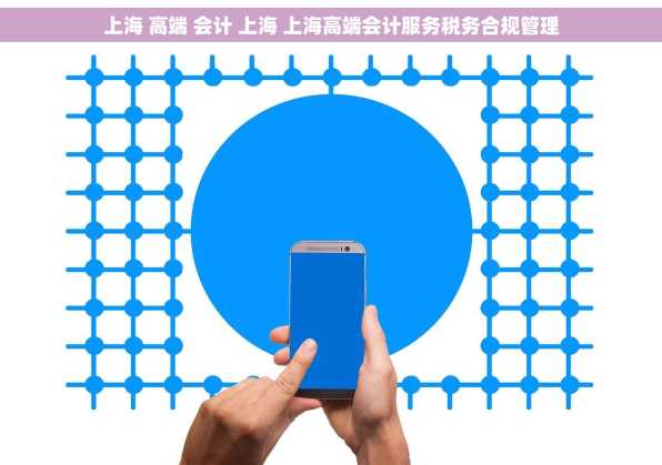 上海 高端 会计 上海 上海高端会计服务税务合规管理