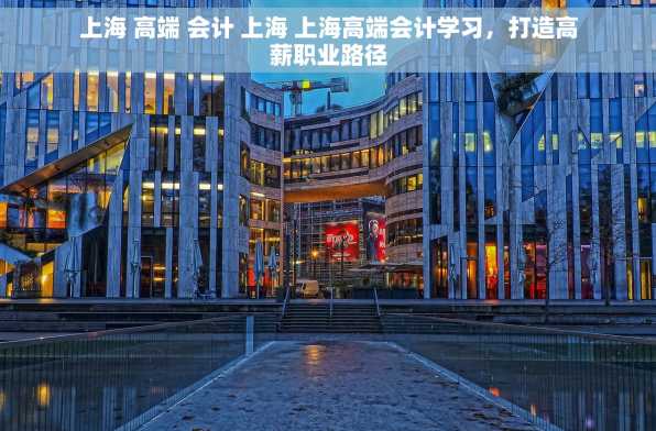 上海 高端 会计 上海 上海高端会计学习，打造高薪职业路径
