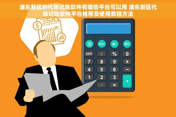 浦东新区的代账记账软件有哪些平台可以用 浦东新区代账记账软件平台推荐及使用教程方法