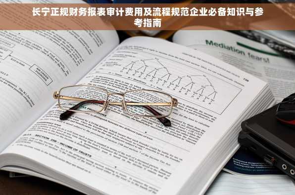 长宁正规财务报表审计费用及流程规范企业必备知识与参考指南
