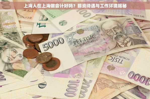 上海人在上海做会计好吗？薪资待遇与工作环境揭秘