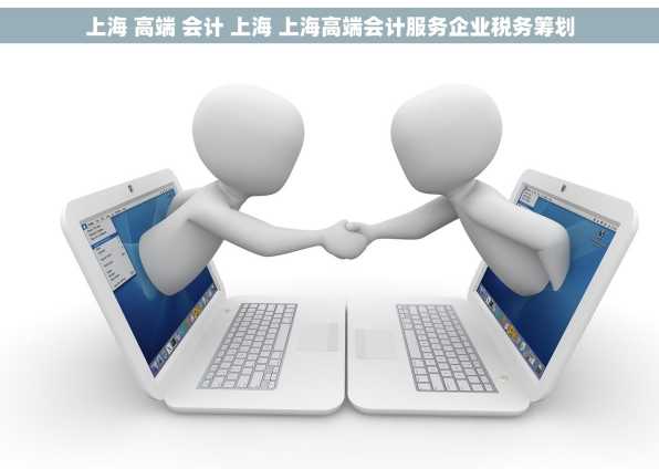 上海 高端 会计 上海 上海高端会计服务企业税务筹划