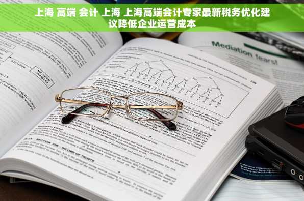 上海 高端 会计 上海 上海高端会计专家最新税务优化建议降低企业运营成本