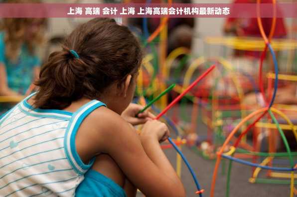 上海 高端 会计 上海 上海高端会计机构最新动态
